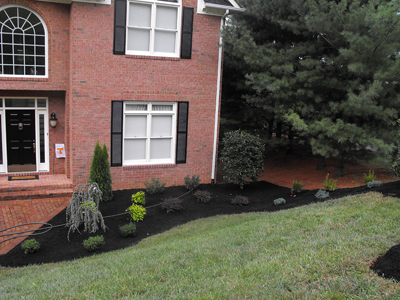 Mature formal garden with structured planting beds and stone pathway